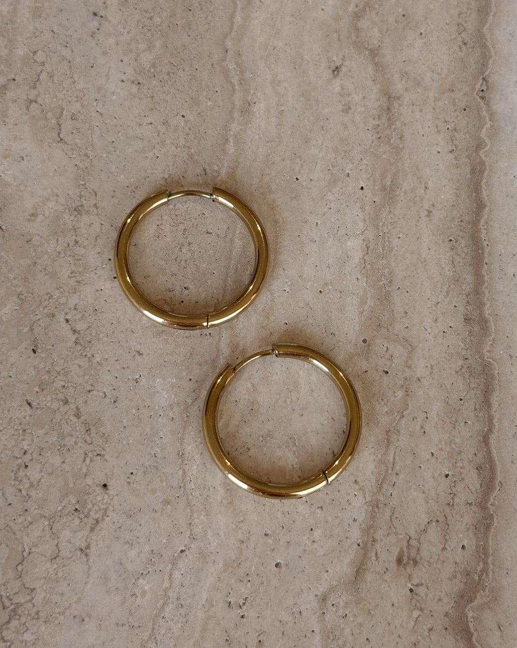 Charlotte Gold Earrings