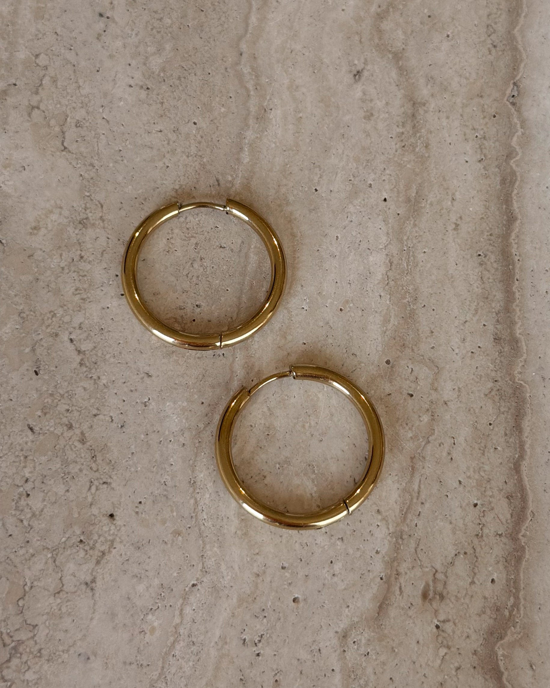 Charlotte Gold Earrings